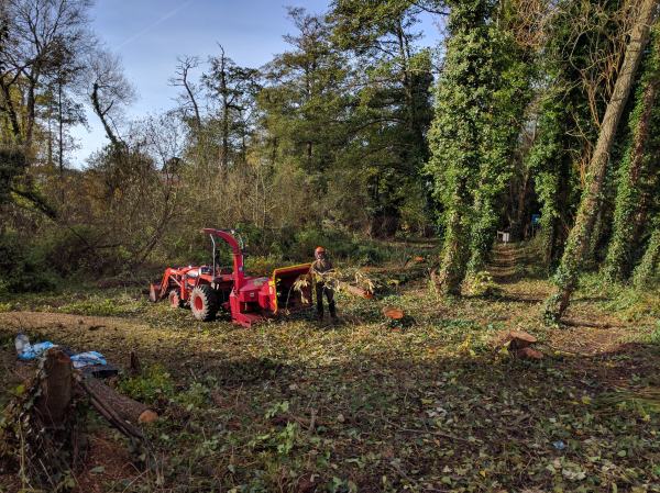 Woodland management