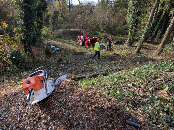 Woodland management